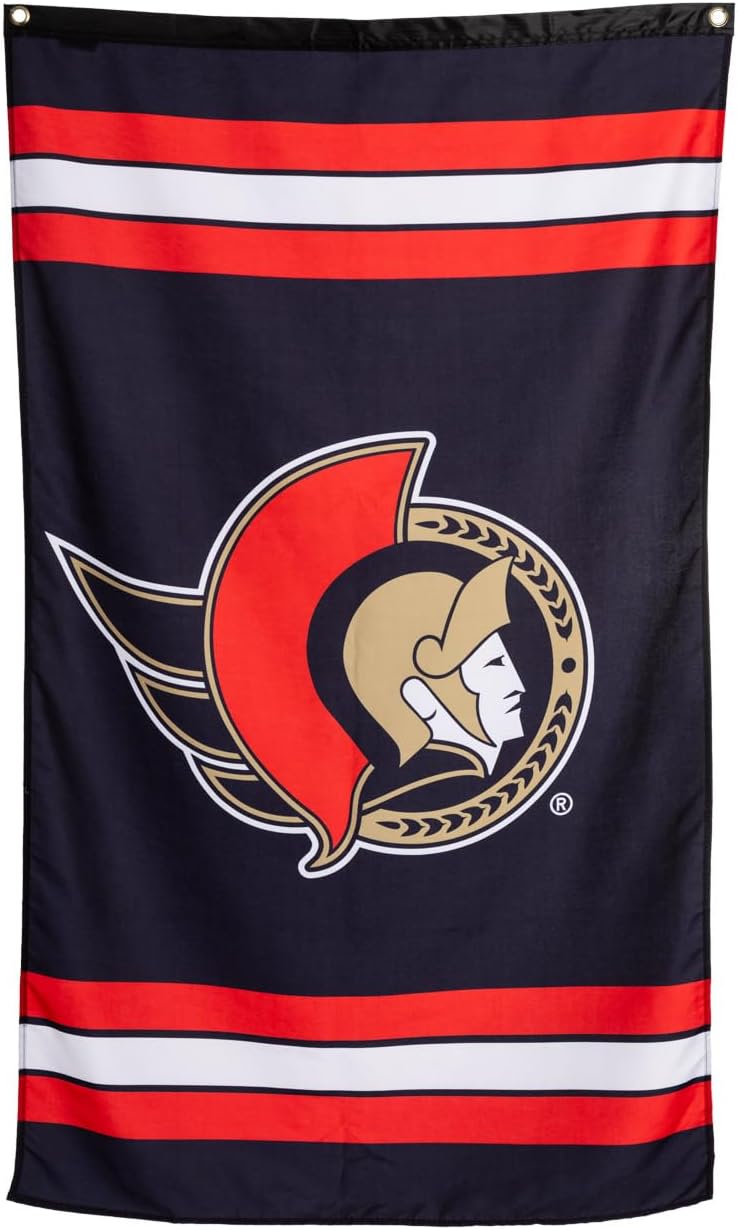 Calhoun NHL Officially Licensed Indoor Team Logo Wall Banner - Ottawa Senators (30" by 50") - Image 1